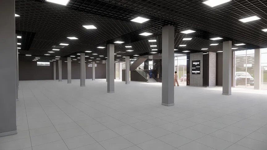 Оформление потолка и входа в ТЦ Magnolia Plaza, Черкассы